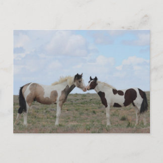 Carte Postale Les peintures