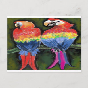 Carte Postale Les perroquets