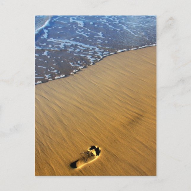 Carte Postale Les pieds dans la plage (Devant)