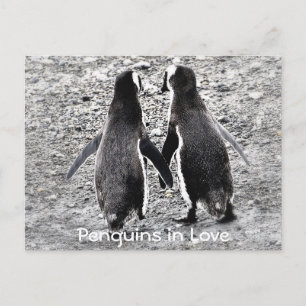 Carte Postale Les pingouins amoureux