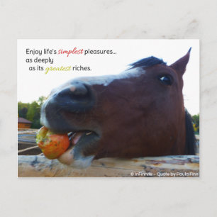 Carte Postale Les plaisirs les plus simples de la vie...