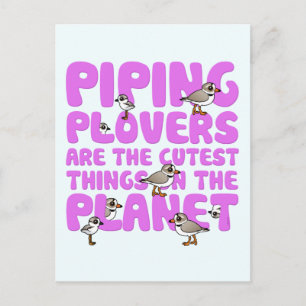 Carte Postale Les Pluvier siffleurs sont les choses les plus cou