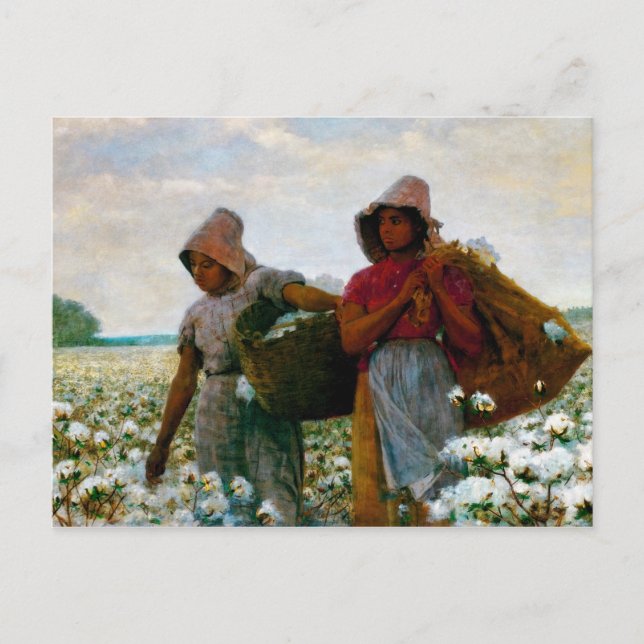 Carte Postale Les Poches De Coton [Homer] (Devant)