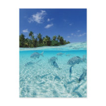 Les poissons en mer