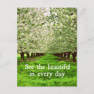 Carte Postale Les pommiers fleurissent avec une citation inspira