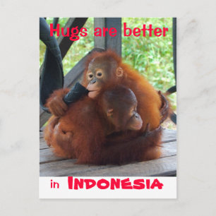 Carte Postale Les porcs sont meilleurs en Indonésie