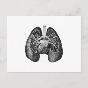 Carte Postale Les poumons et le coeur