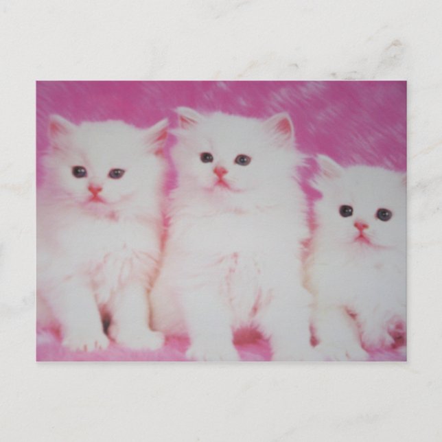 Carte Postale Les prochains grands modèles américains (Devant)