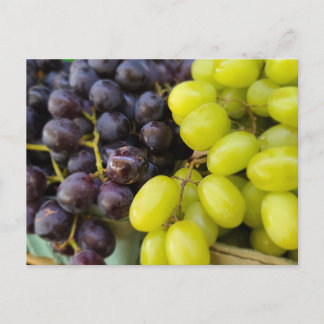 Carte Postale Les raisins de marché des agriculteurs