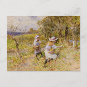 Carte Postale Les Rassembleurs Primrose
