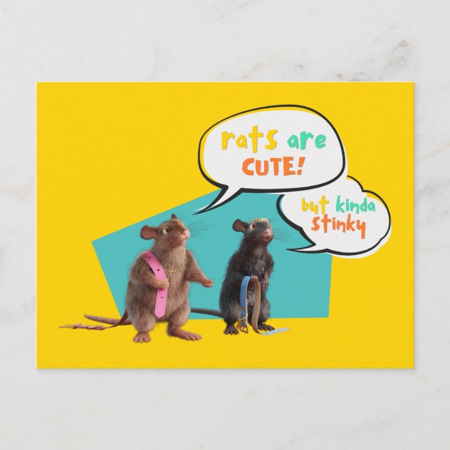 Carte Postale Les Rats Sont Mignons Mais Plutôt Stinky (Devant)