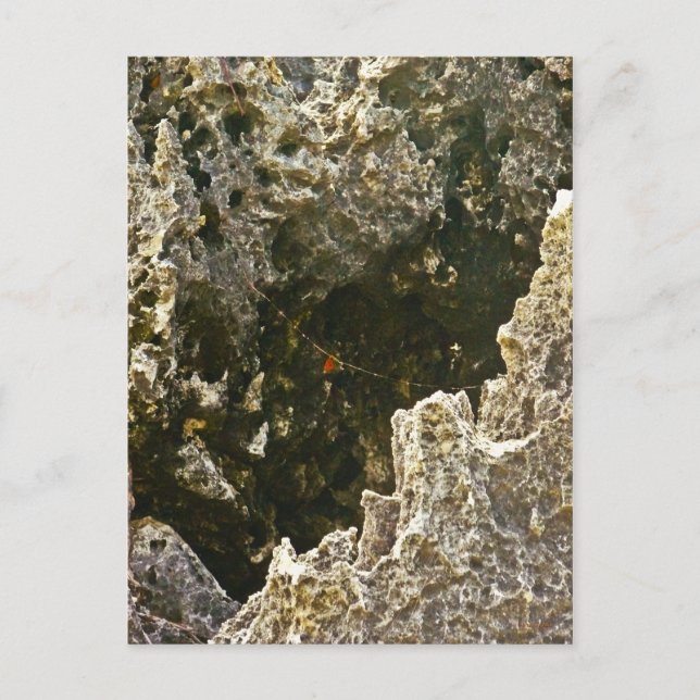 Carte Postale Les Rochers De L'Enfer (Devant)