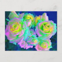 Les roses perle iridescentes