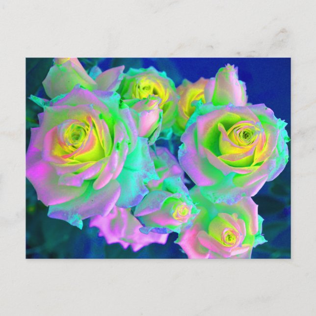 Carte Postale Les roses perleés iridescentes (Devant)