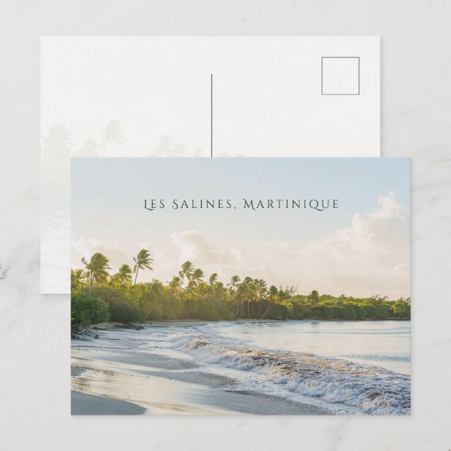 Carte Postale Les Salines beach Martinique Scenic travel (Devant / Derrière)