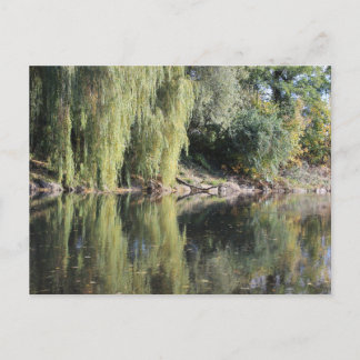 Carte Postale Les Sauvages Reflétés Dans La Rivière