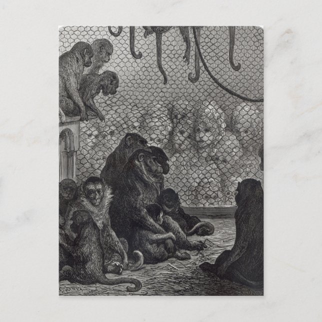 Carte Postale Les singes de Londres (Devant)