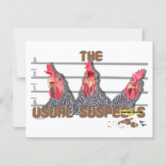 Carte Postale Les suspects habituels de POULET—Poules rocheuses