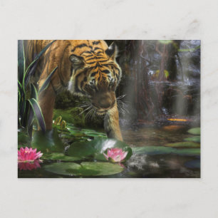CARTE POSTALE LES TIGRES DE LA PAIX SAUVAGE