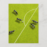 Les vaches jouant au football