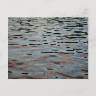 Carte Postale Les voies navigables du parc forestier