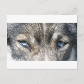 Carte Postale Les yeux d'Odin