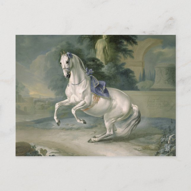 Carte Postale L'étalon blanc Leal en levade, 1721 (Devant)