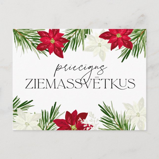 Carte Postale Letton Noël Rouge Poinsettia Ziemassvetki (Devant)