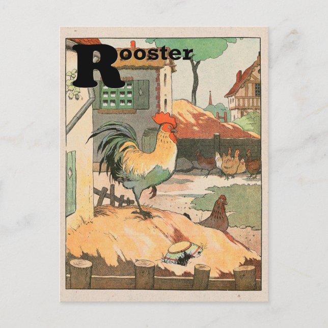 Carte Postale Lettre alphabétique de l'animal coq (Devant)