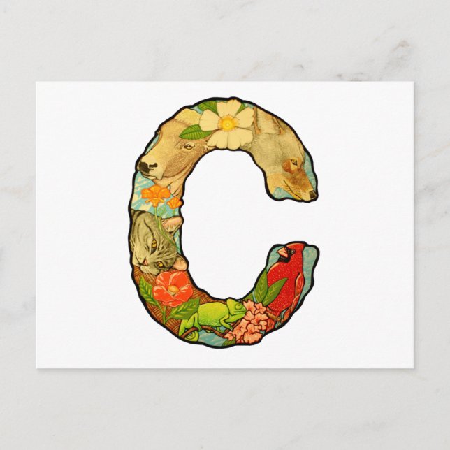 Carte Postale Lettre C (Devant)