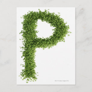 Carte Postale Lettre 'P' en cresson sur arrière - plan blanc,