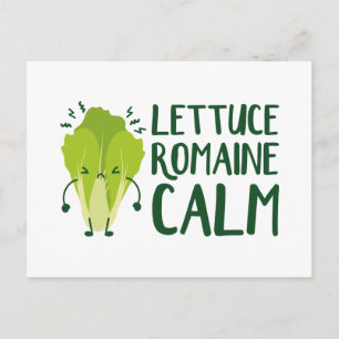 Carte Postale Lettuce Romaine Calme