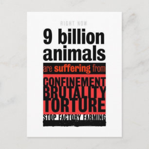 Carte Postale Leurs souffrances