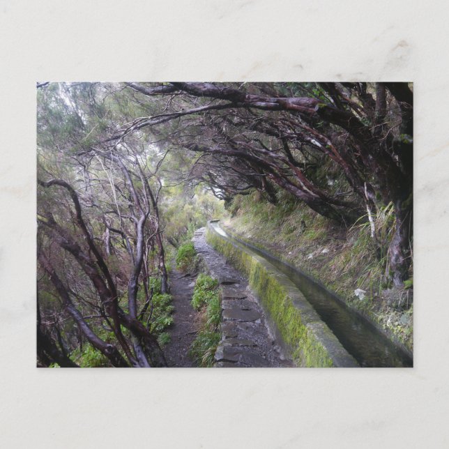 Carte Postale Levadas à Madère, Portugal (Devant)