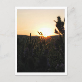 Carte Postale Levée de soleil du Wyoming