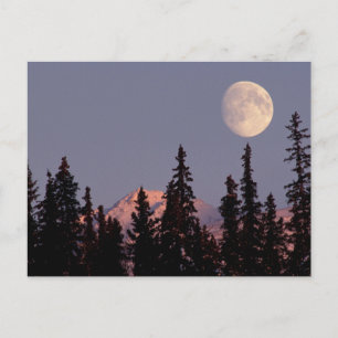 Carte Postale Lever de lune début de l'hiver   Anchorage, Alaska