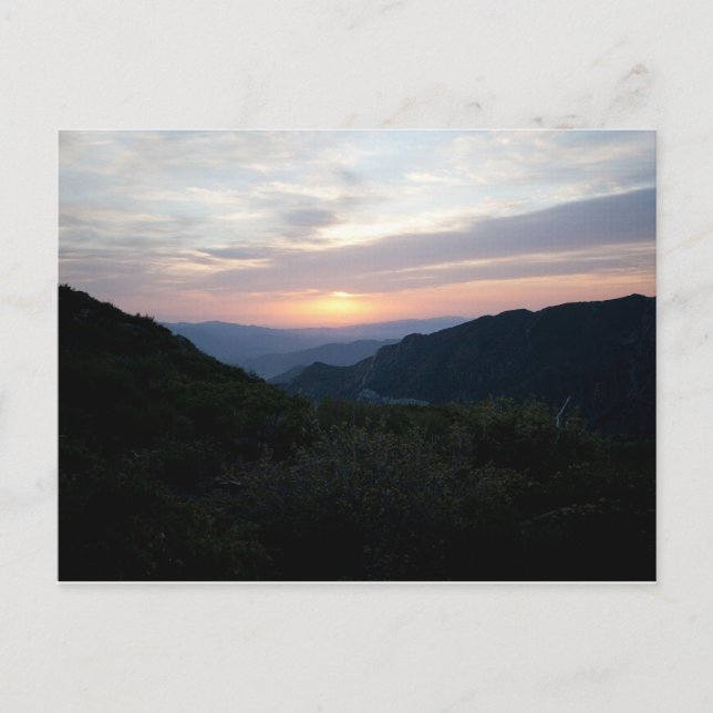 Carte Postale Lever de soleil à Penny Pines (Devant)