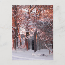 Carte Postale Lever de soleil rose sur la neige photo hiver