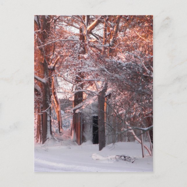Carte Postale Lever de soleil rose sur la neige photo hiver (Devant)