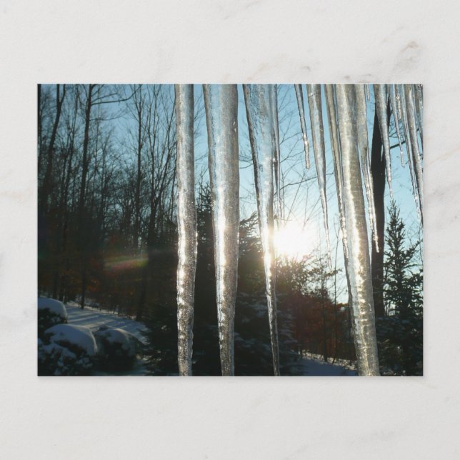 Carte Postale Lever du soleil à travers Icicles hiver Photograph (Devant)