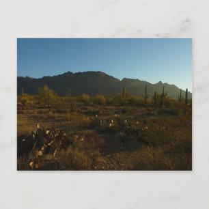 Carte Postale Lever du soleil du Saguaro dans le parc national d