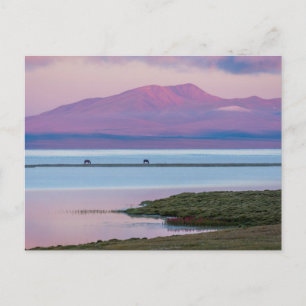Carte Postale Lever du soleil sur le lac Song Kul