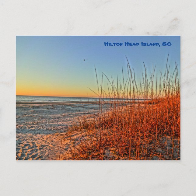 Carte Postale Lever Du Soleil Sur Le Surf ! Hilton Head Island,  (Devant)