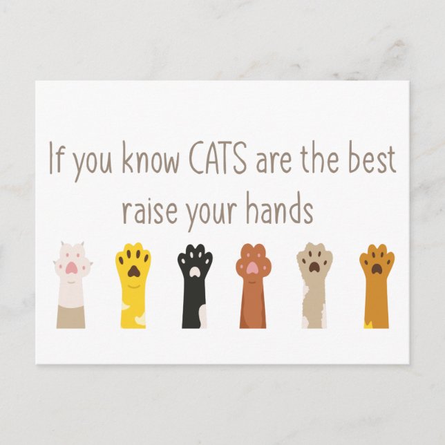 Carte Postale Levez Les Mains Les Chats Sont Les Meilleurs Citat (Devant)
