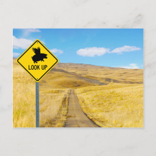 Carte Postale Levez Vos Yeux Pour Les Porcs Peut Voler