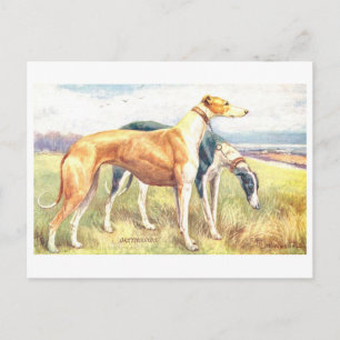 Carte Postale Lévrier Gris Vintage