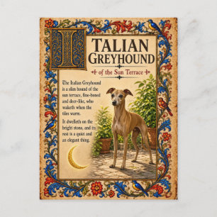 Carte Postale Lévrier Italien, Art de Bestiaire Médiéval