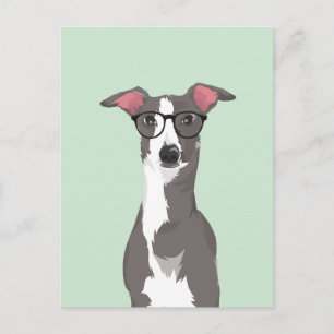 Carte Postale Lévrier Italien Hipster pour Amateurs de Chiens
