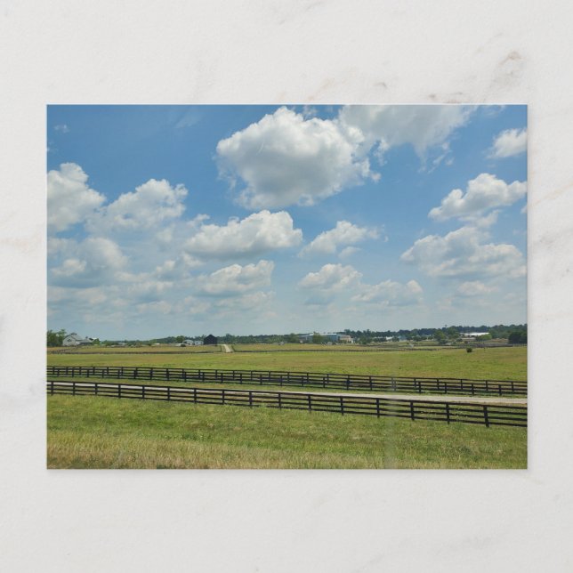 Carte Postale Lexington, Kentucky (Devant)