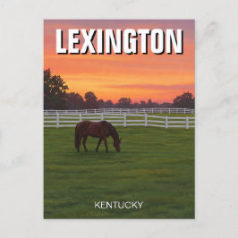 Carte Postale Lexington Kentucky Postcard Horse Sunset